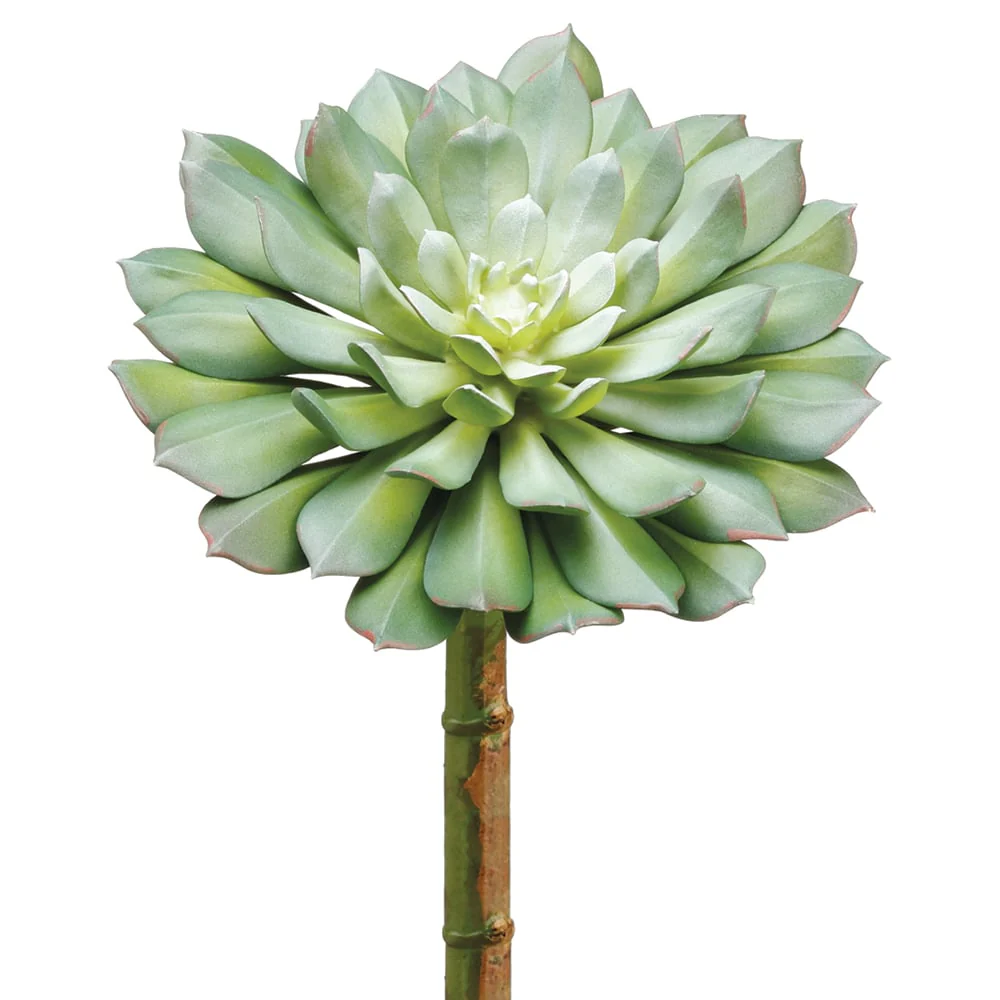 9"Hx6"W Echeveria Artificial Stem Pick -Green/Gray (Pack of 12)