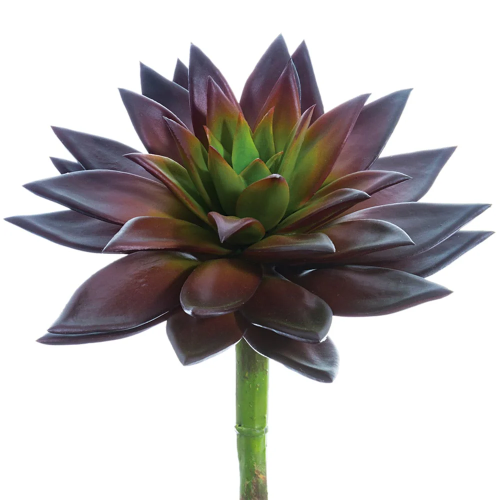 9"Hx8"W Echeveria Artificial Stem Pick -Burgundy (Pack of 6)