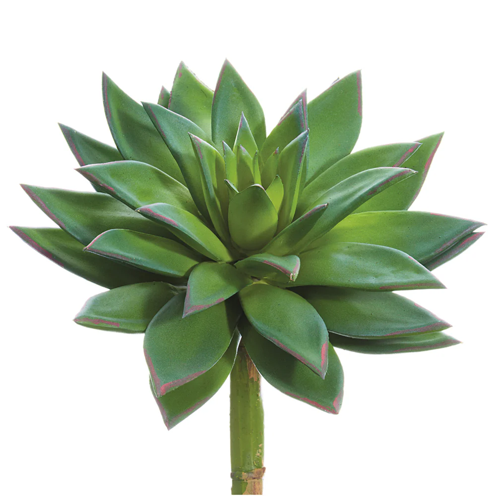 9"Hx8"W Echeveria Artificial Stem Pick -Green (Pack of 6)
